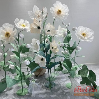 Set Hoa Khổng Lồ Trưng Bày, Concept Chụp Ảnh Cho Studio